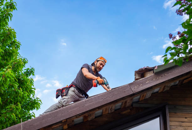 Best Rubber Roofing (EPDM, TPO)  in Chenoa, IL