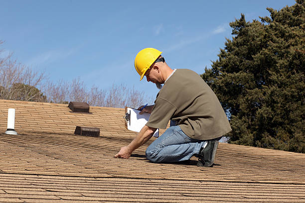 Best Storm Damage Roof Repair  in Chenoa, IL